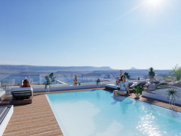 penthouse for sale in Habaneras